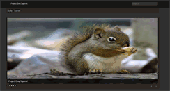 Desktop Screenshot of graysquirrel.net