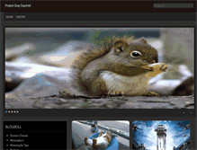 Tablet Screenshot of graysquirrel.net